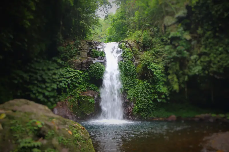 Gitgit waterfall surrounded by lush green forest in Bali