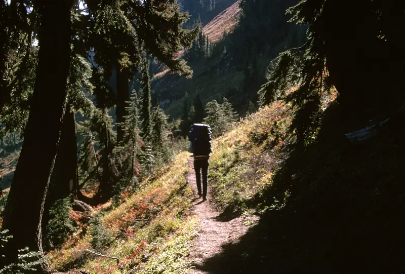 A hiker with a backpack on a forest mountain path