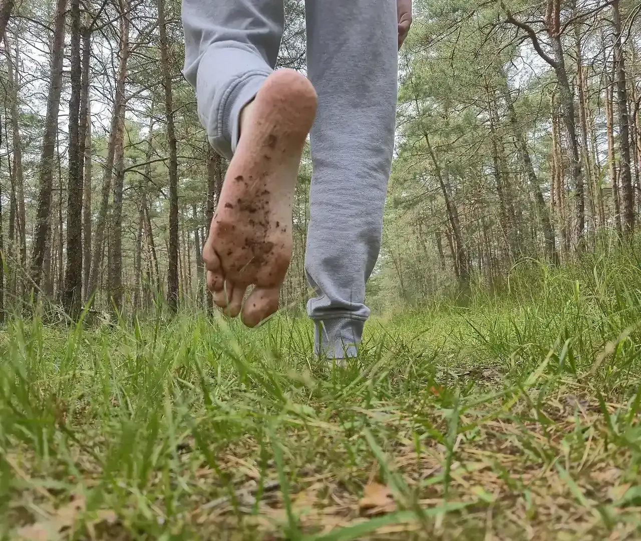 A barefoot person walks away through grass in a pine wood, one soil-stained sole lifted toward the camera.