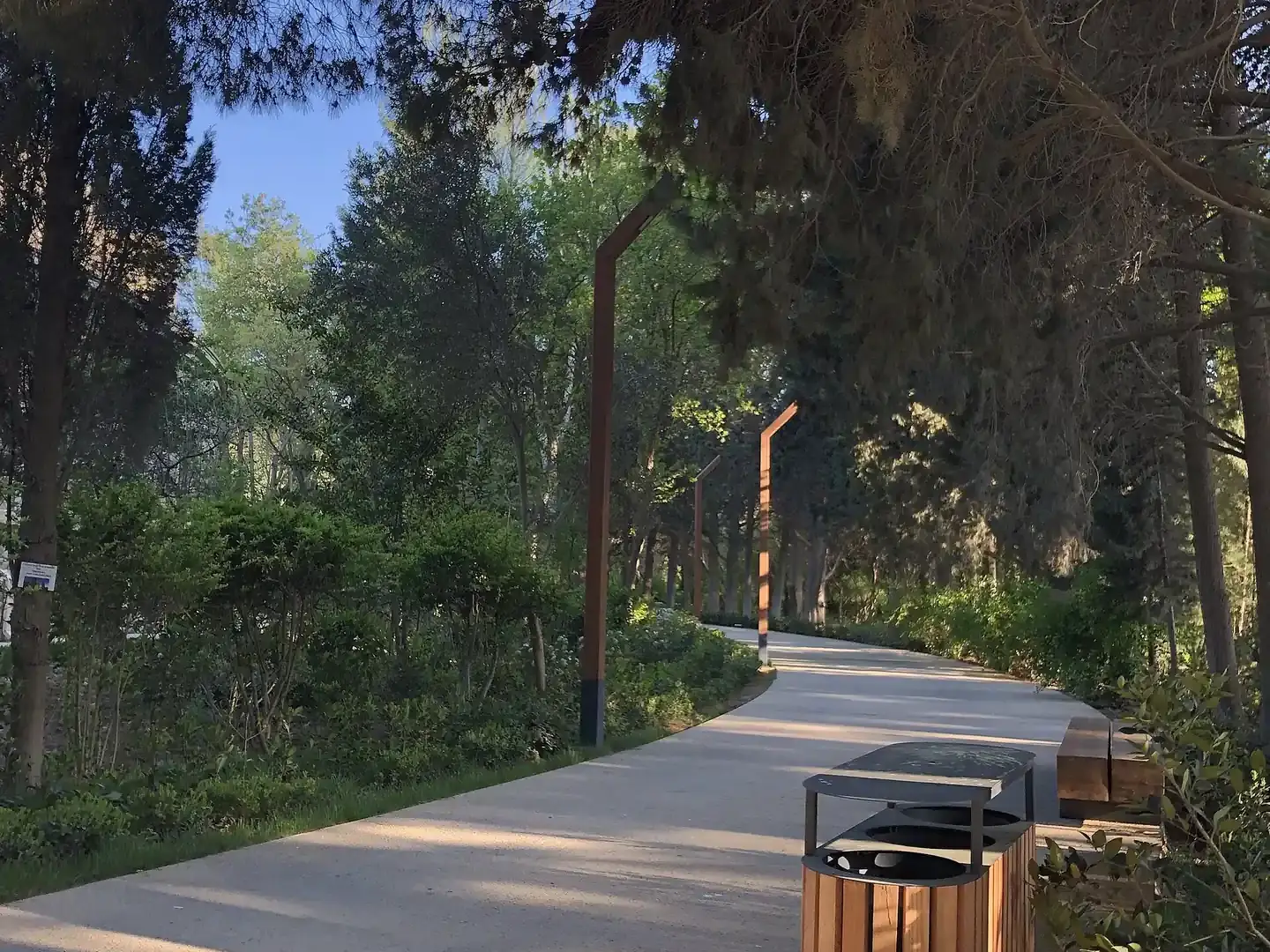 A narrow paved path curving between tall trees, with a wooden bin beside it.