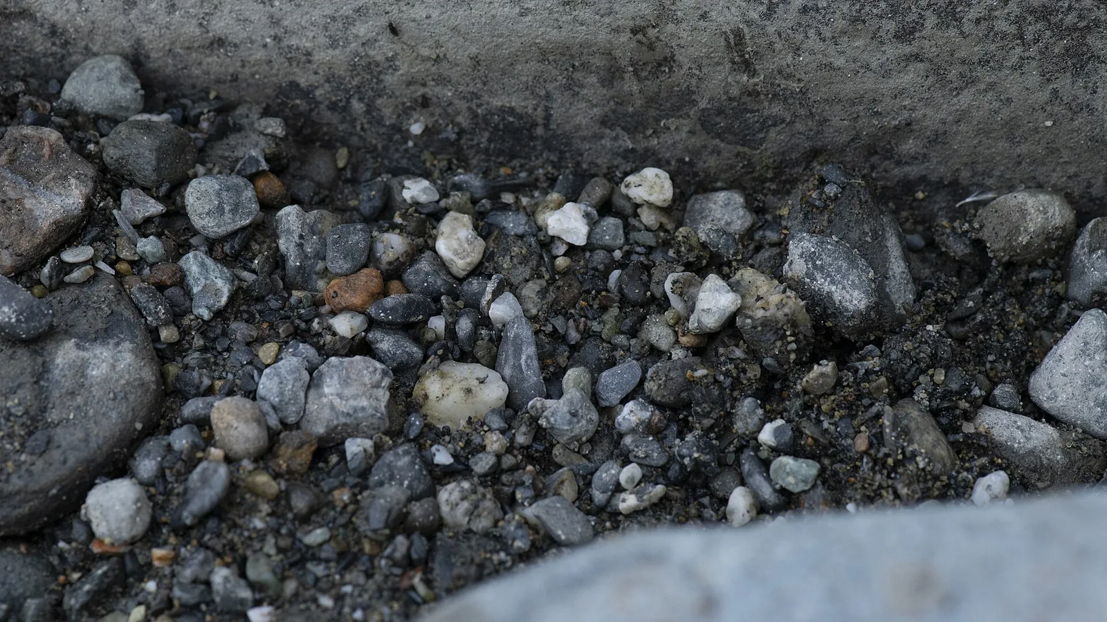 Small grey and white pebbles of different sizes lie packed between two larger smooth stones.