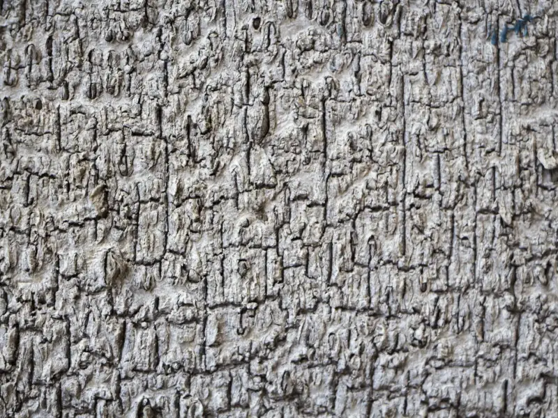 A close view of a rough stone wall, its surface broken into small irregular blocks.